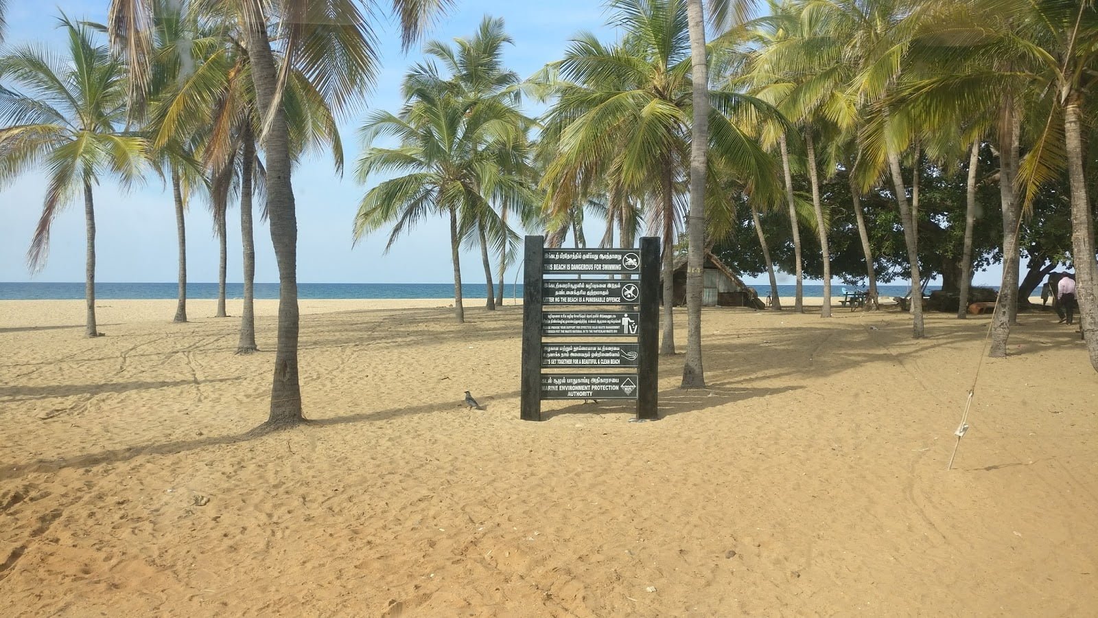 pasikudah beach