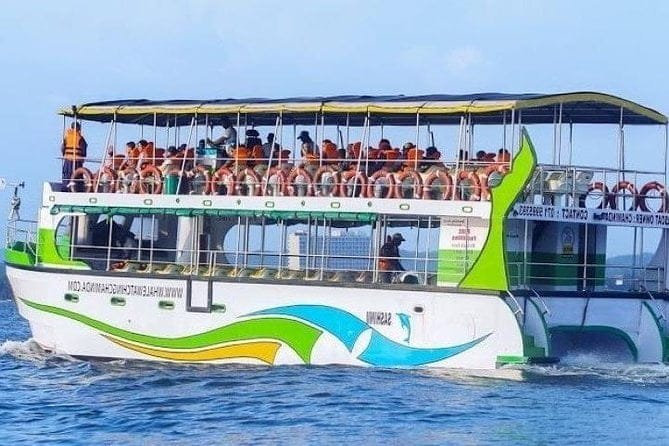 whales-dolphines-watching-mirissa-srilanka