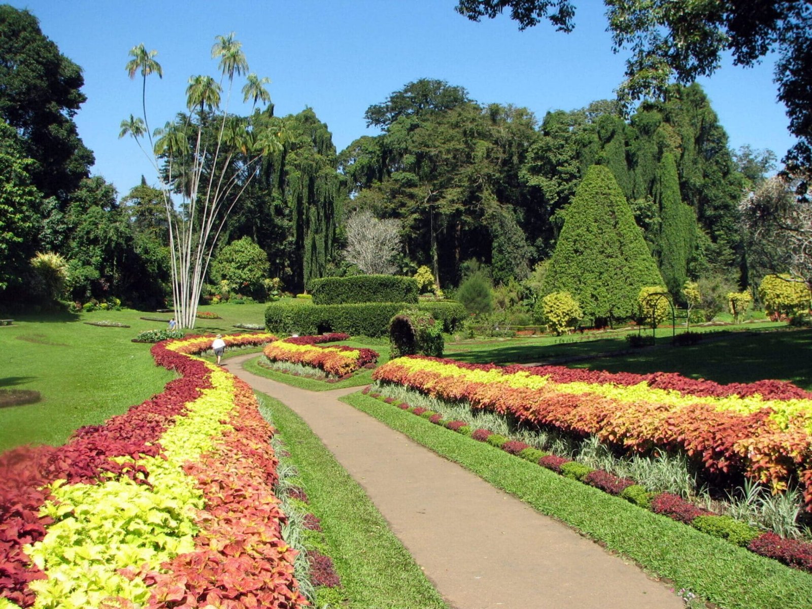Royal Botanical Garden, Kandy