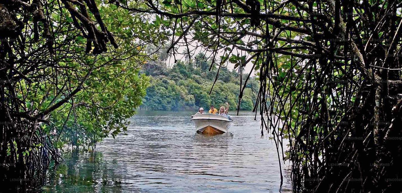 madu river srilanka