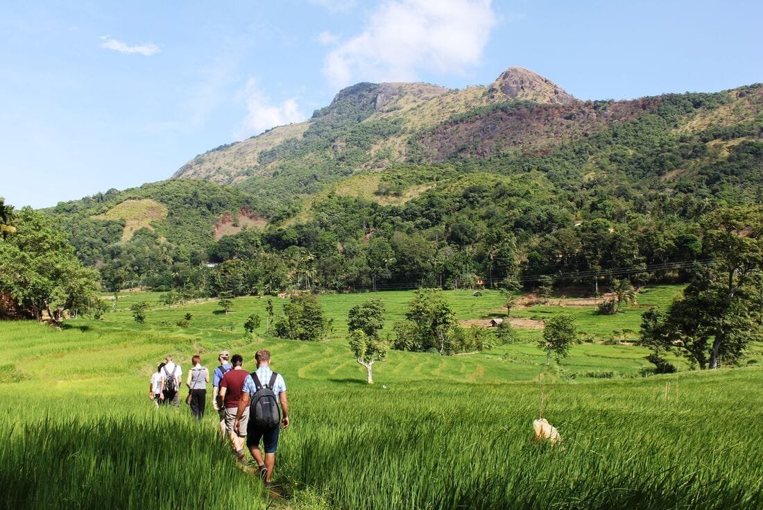 Trekking_Tour_in_Kandy_Knuckles