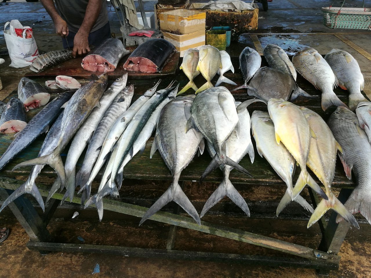 Fish Market, Negombo