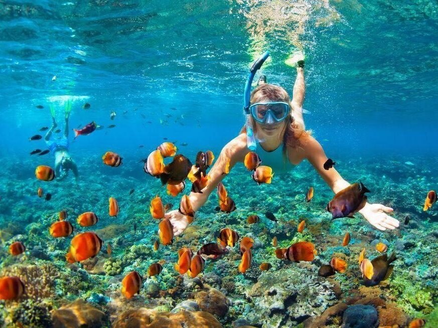 Diving & Snorkeling, Mirissa