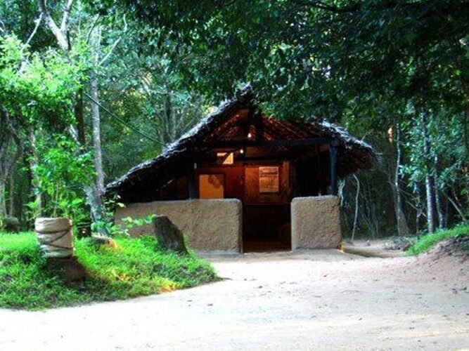 Popham’s Arboretum, Sigiriya